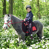Reiten